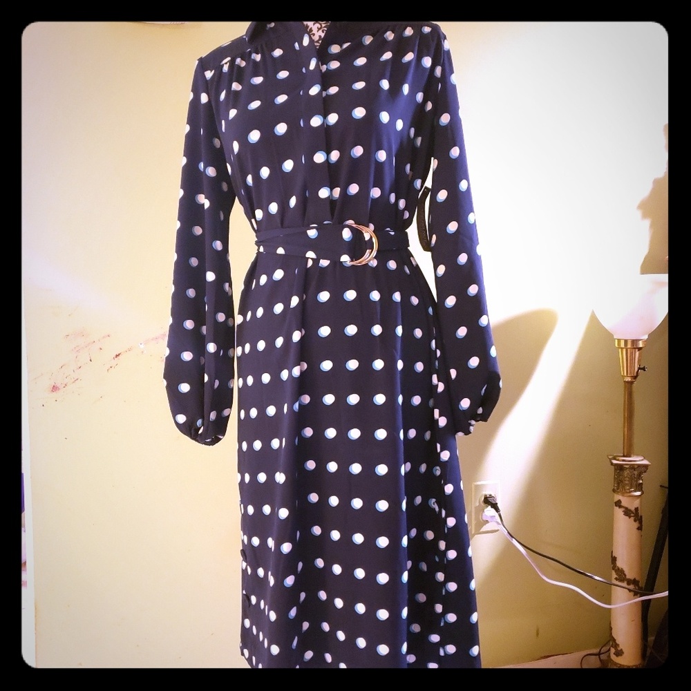 Eva Mendes for New York & Company Navy Polka Dot Midi Dress Small